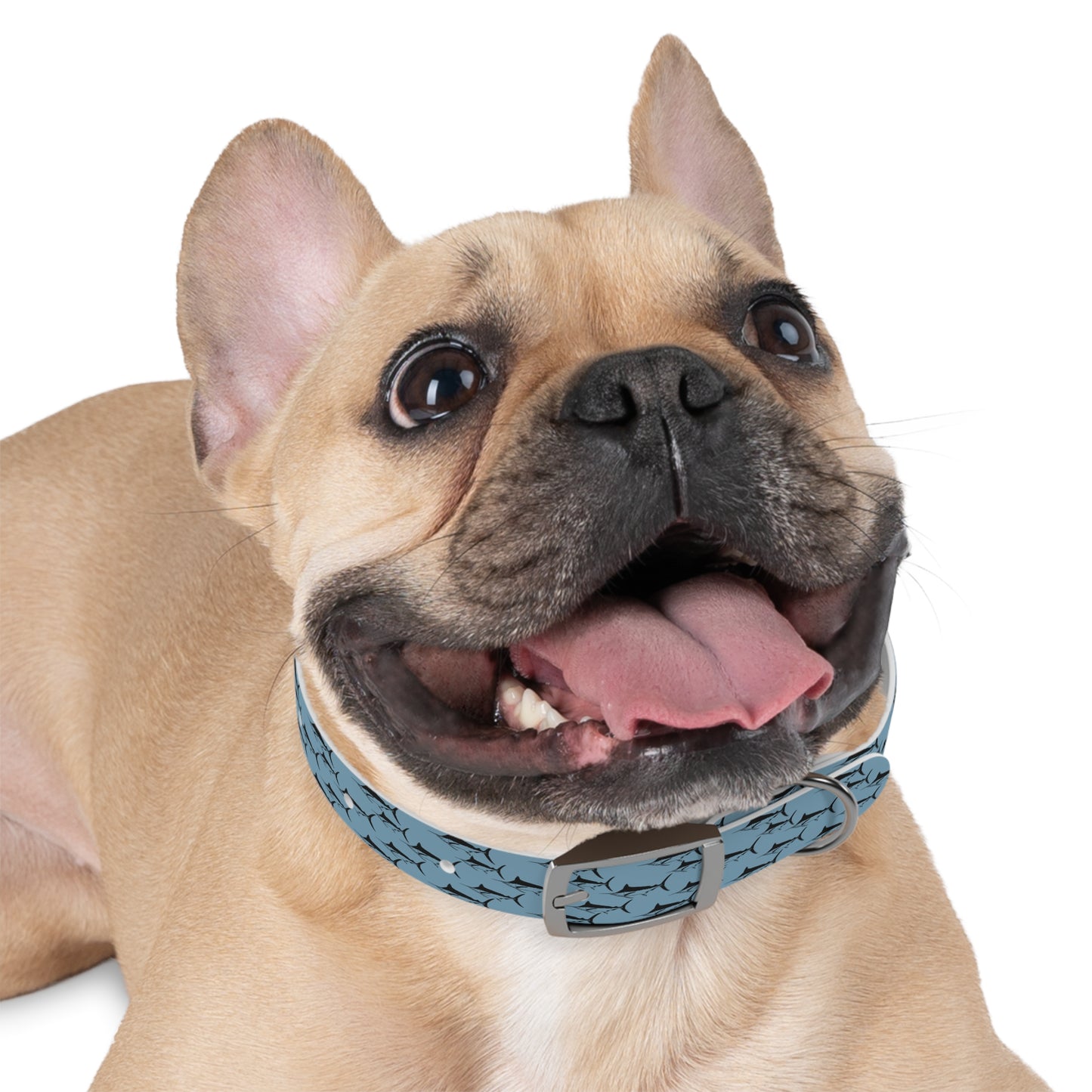 Marlin Pet Collar