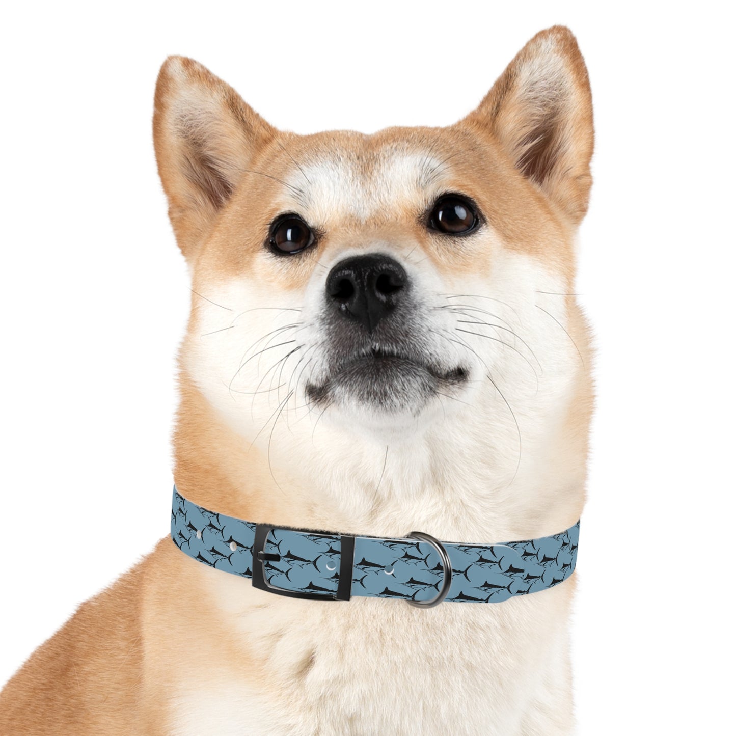 Marlin Pet Collar