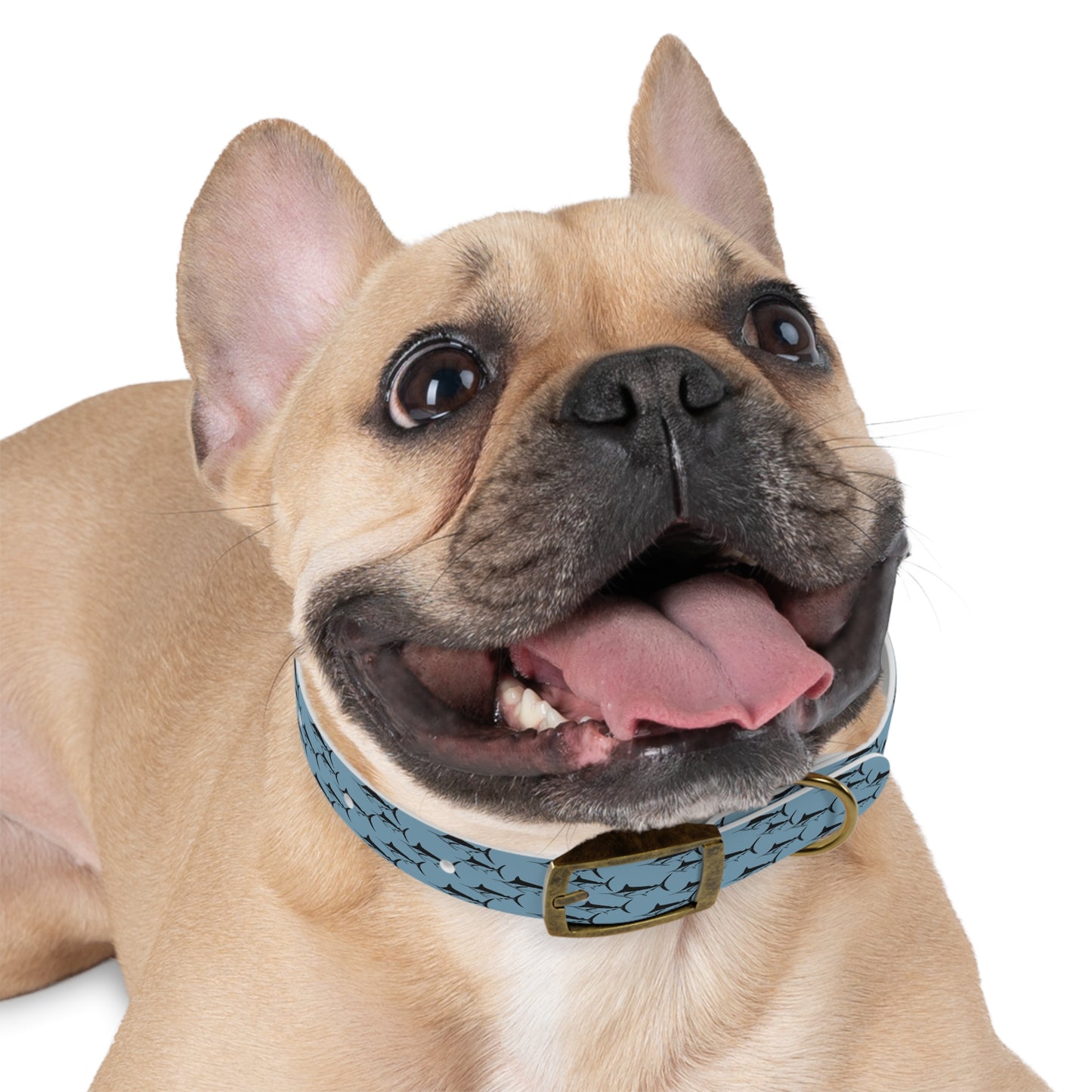 Marlin Pet Collar