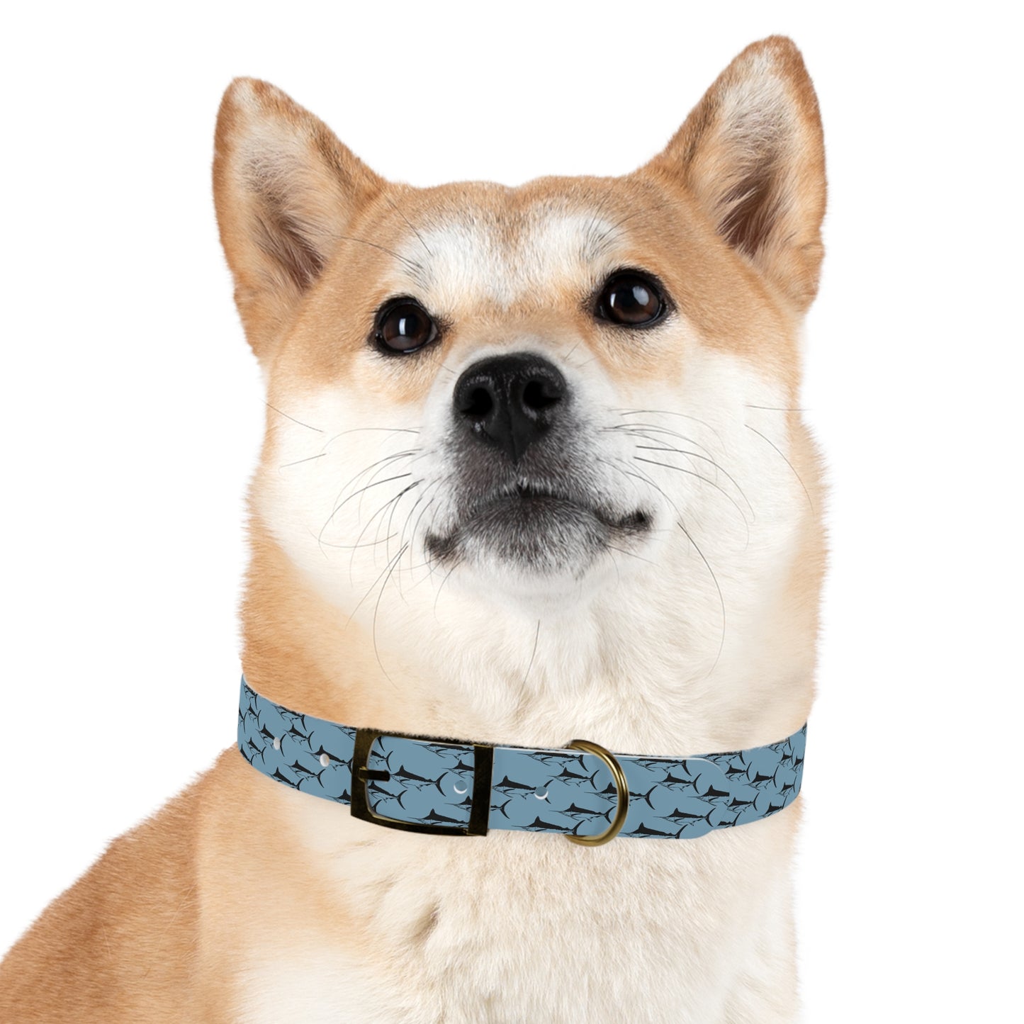 Marlin Pet Collar