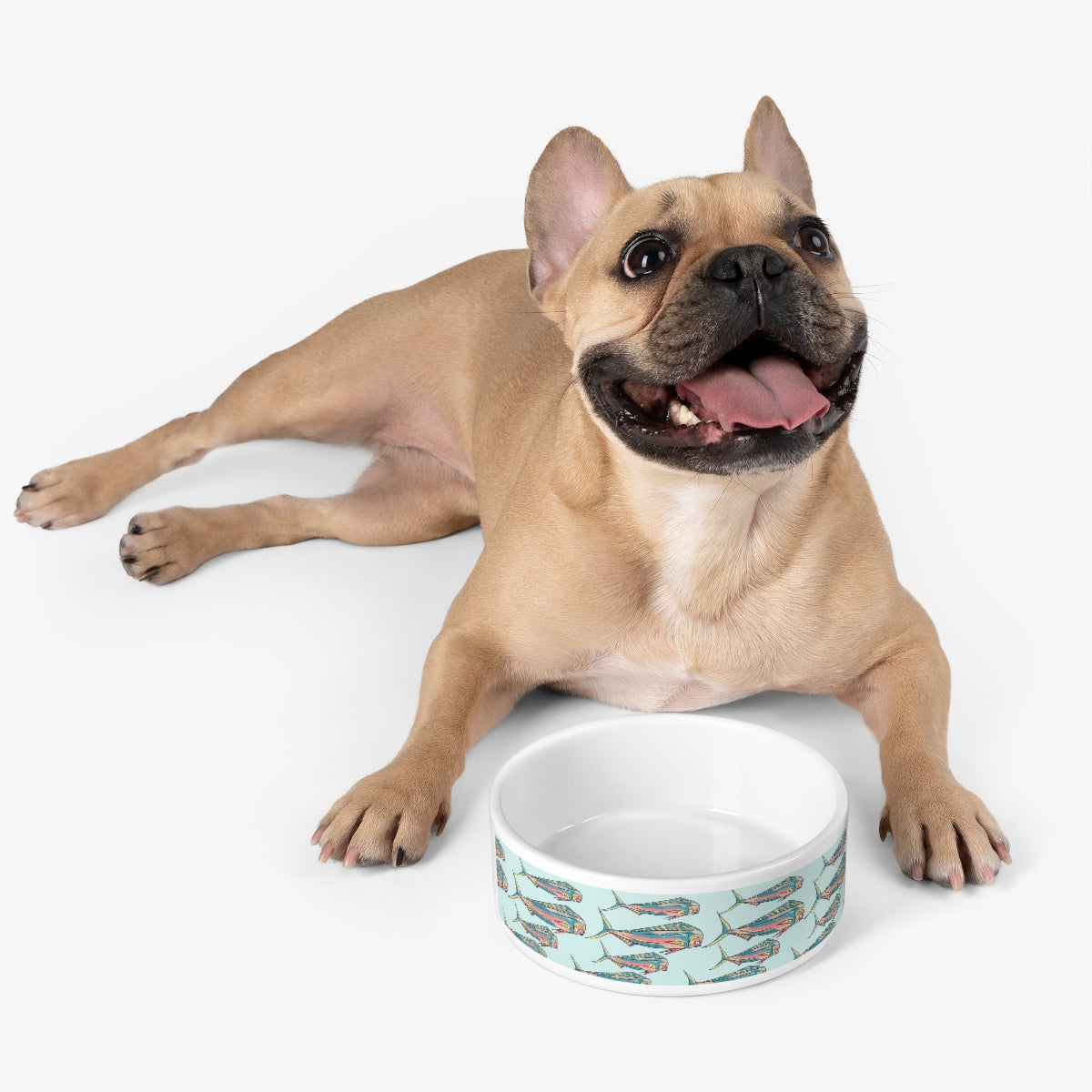 Mahi Pet Bowl